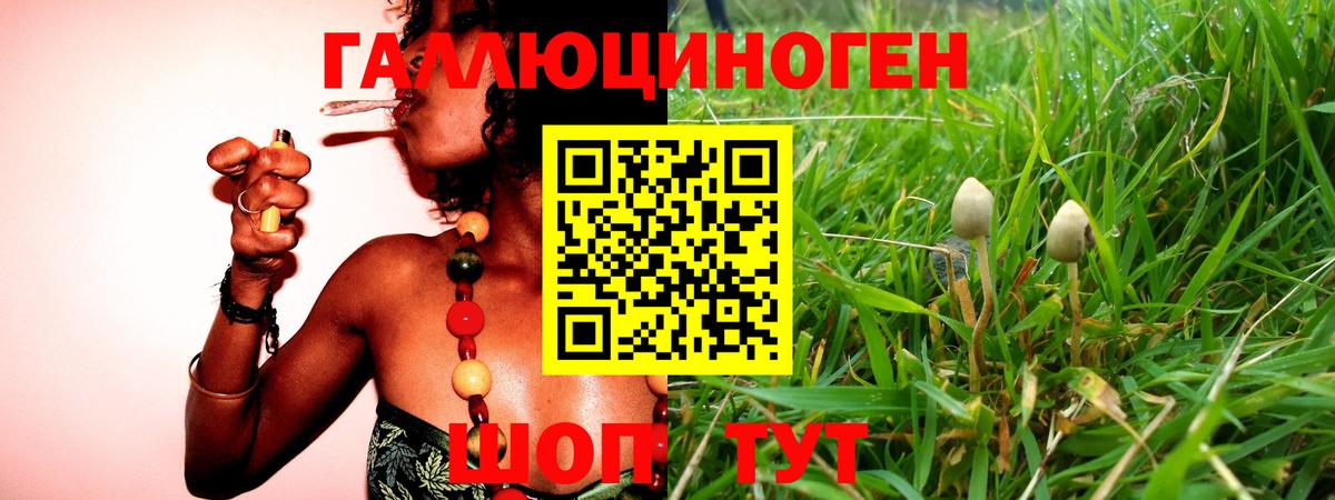 купить закладку  Псилоцибиновые грибы MAGIC MUSHROOMS  Вход с VPN  Кинешма 